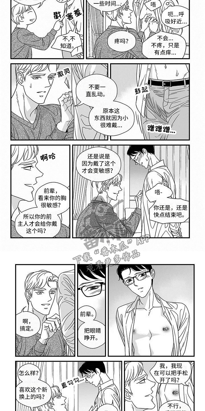 第17章：潜质5