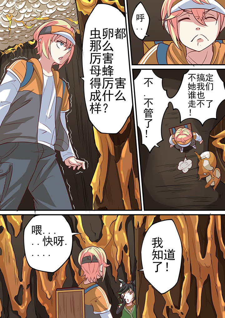 第29章：3
