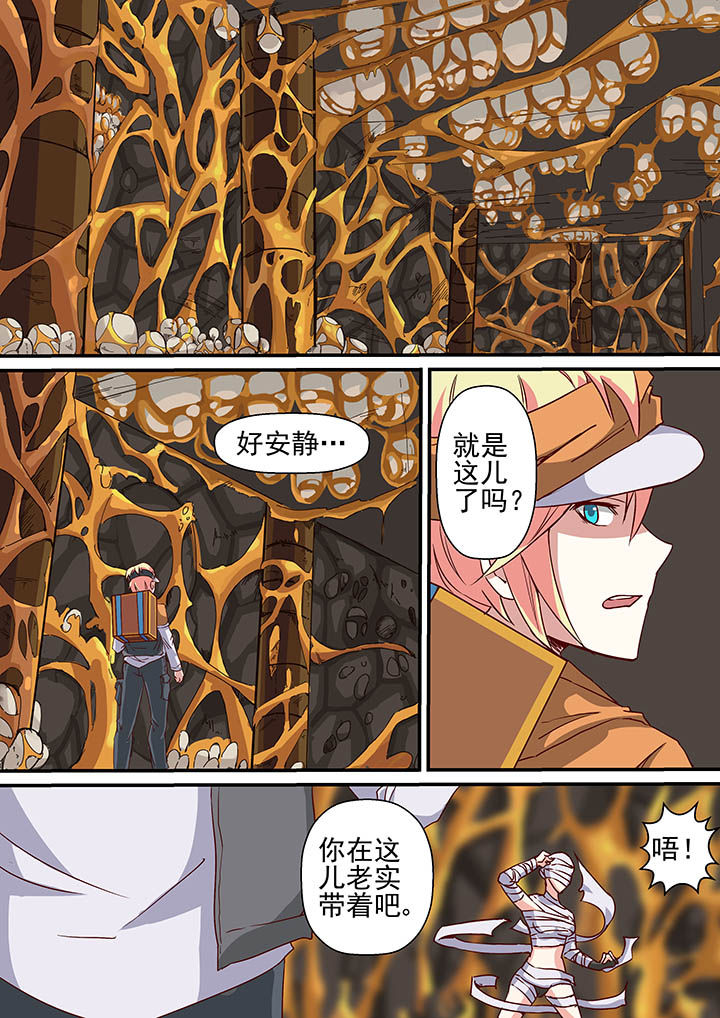 第33章：7