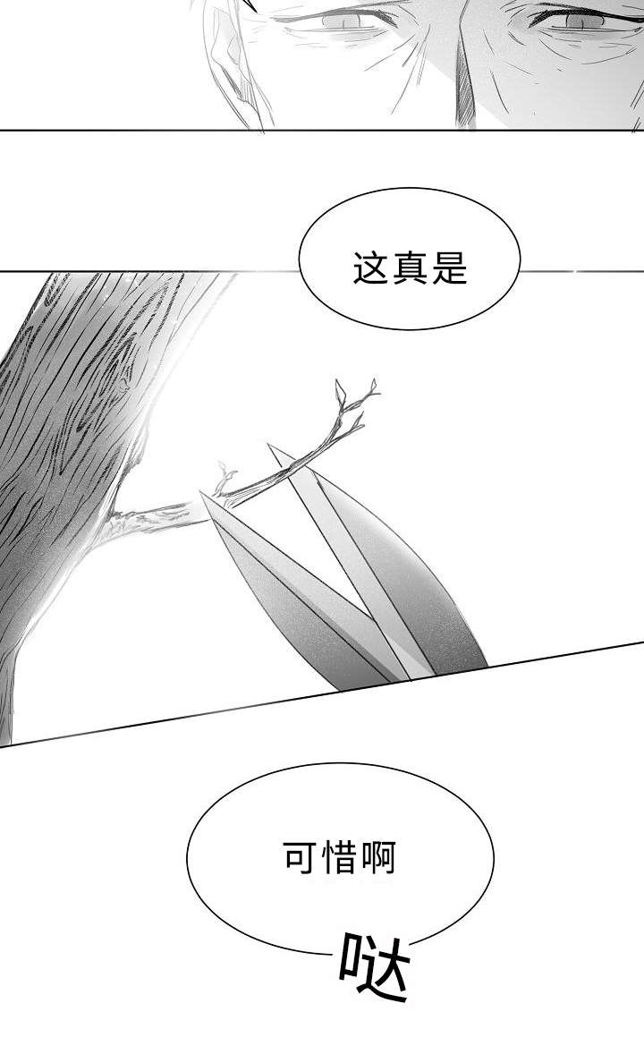 第11章：护着5