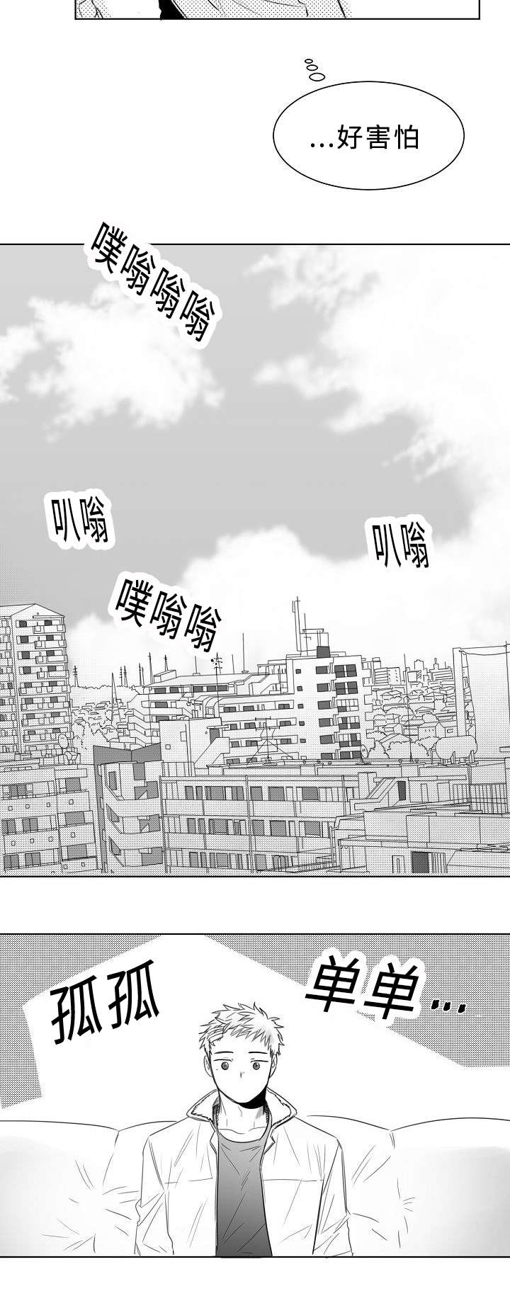 第7章：报告书2