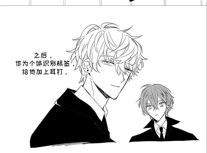 第5章：陪着你6