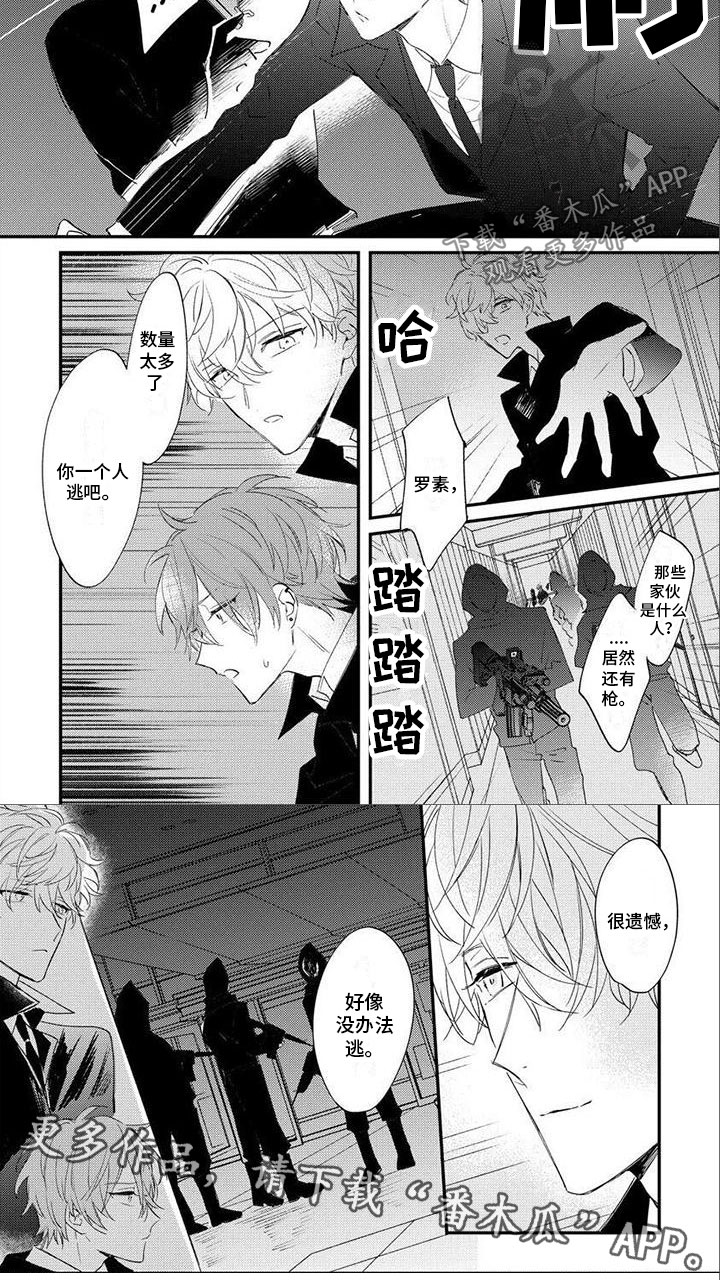 第19章：遇刺3
