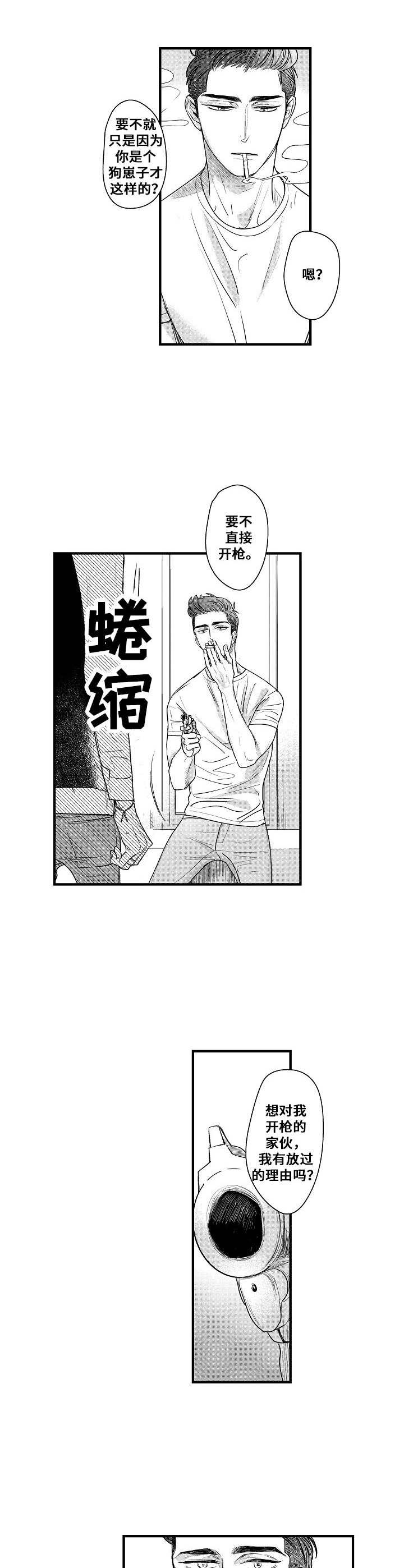 第15章：枪9