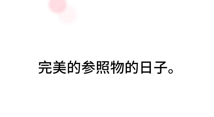 第2章：完美参考物25