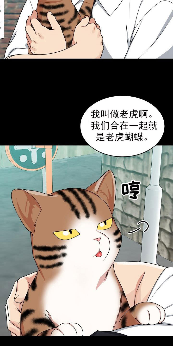 第26章：期待11
