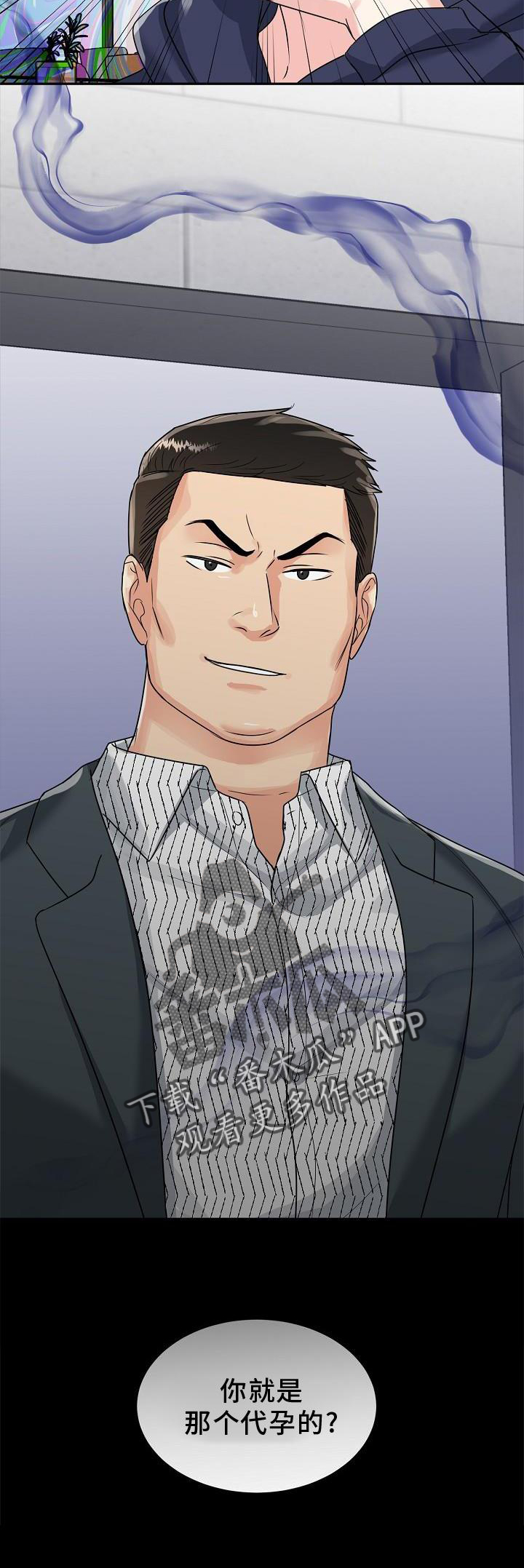 第29章：代孕21