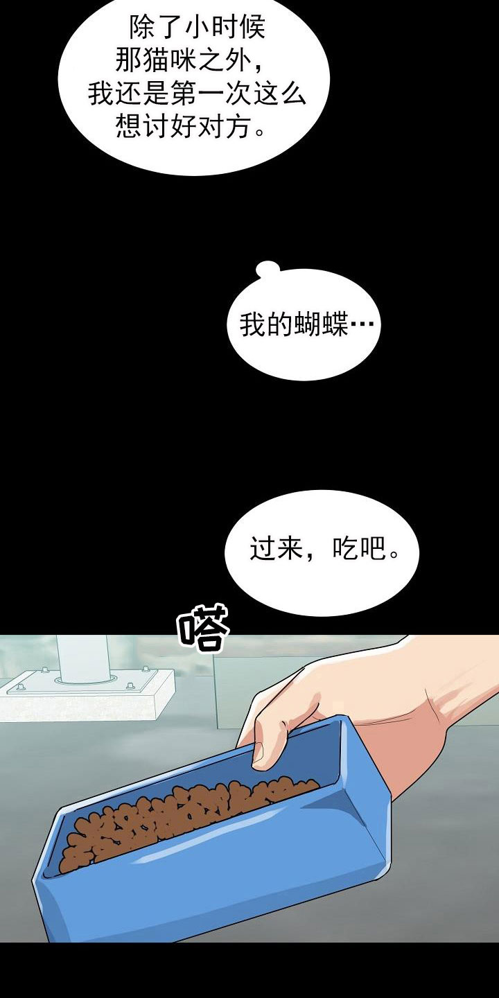 第26章：期待5