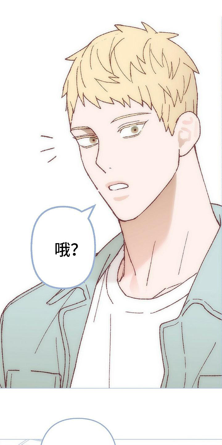 第2章：真好看0