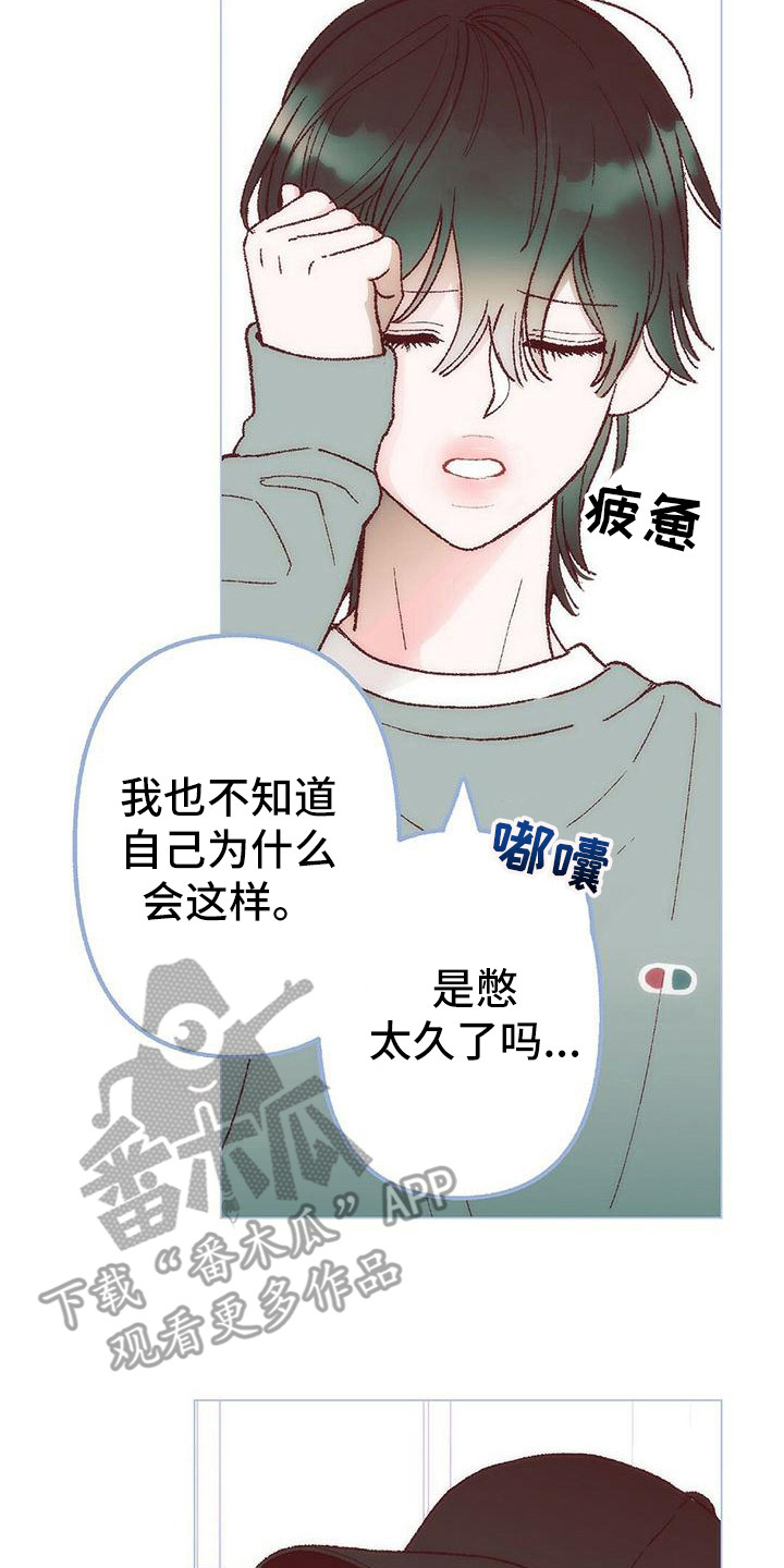第6章：解释20