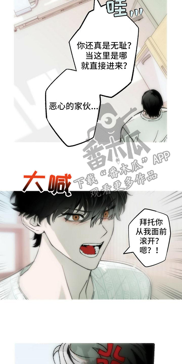第21章：说你喜欢13