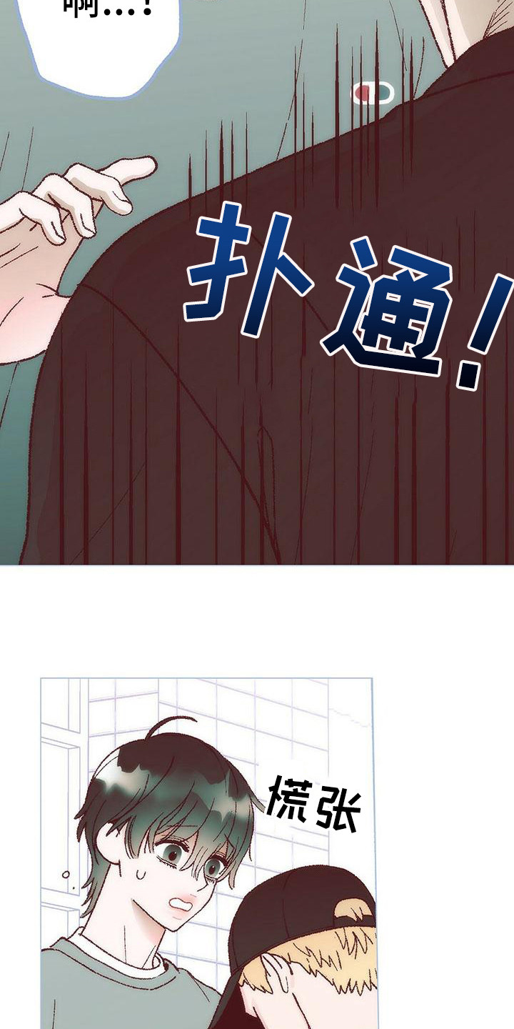 第6章：解释15