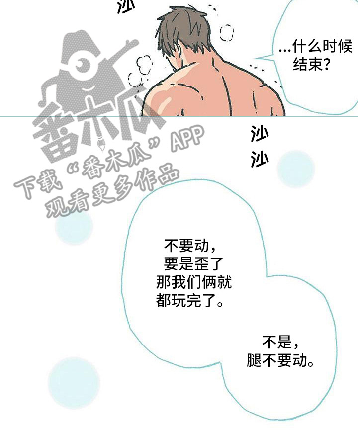 第13章：弄干净15