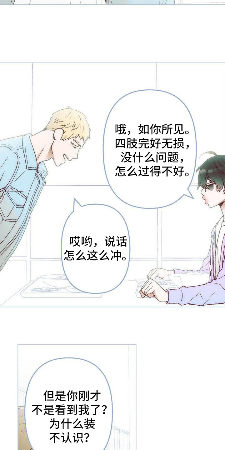 第2章：真好看5
