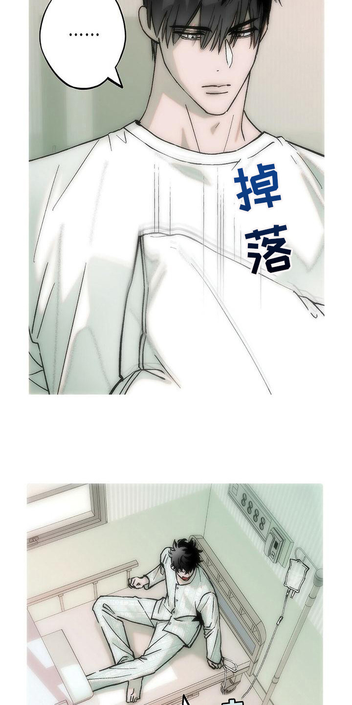 第21章：说你喜欢12