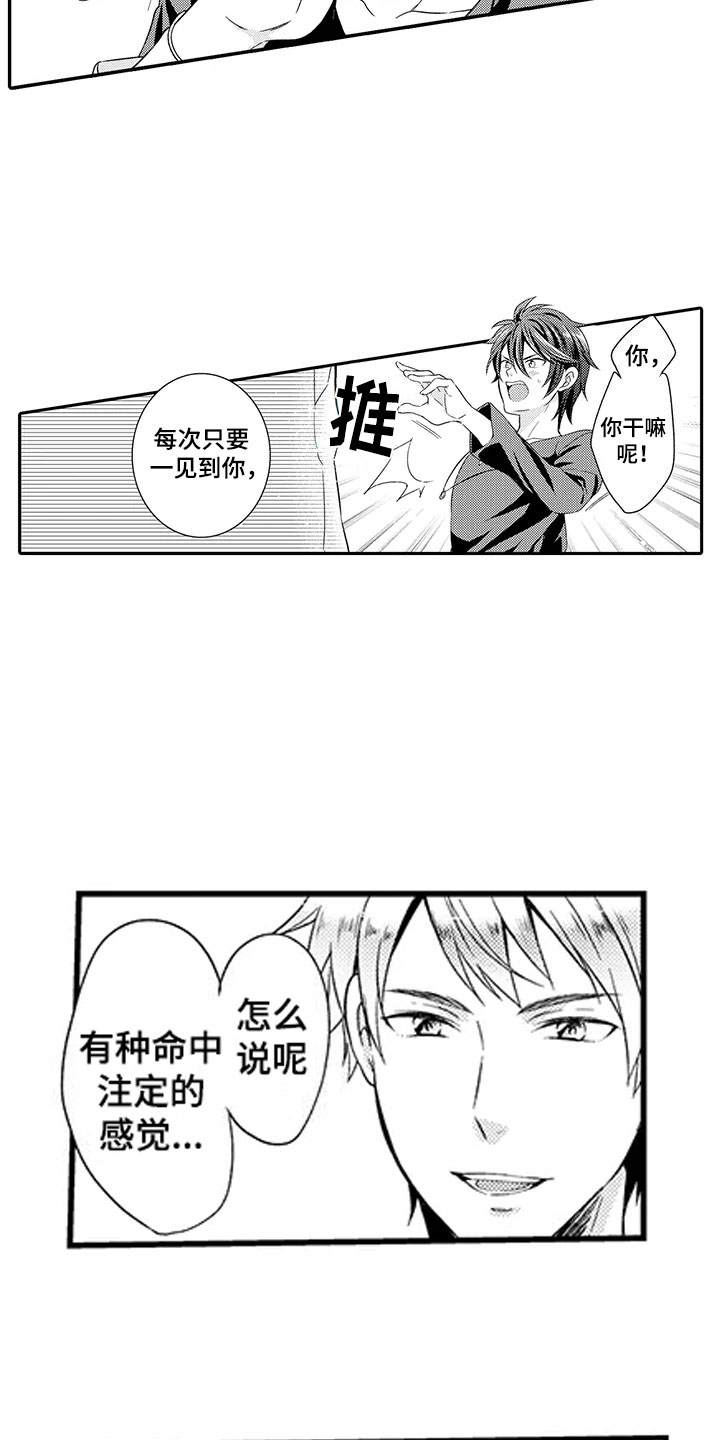 第2章：命运伴侣11