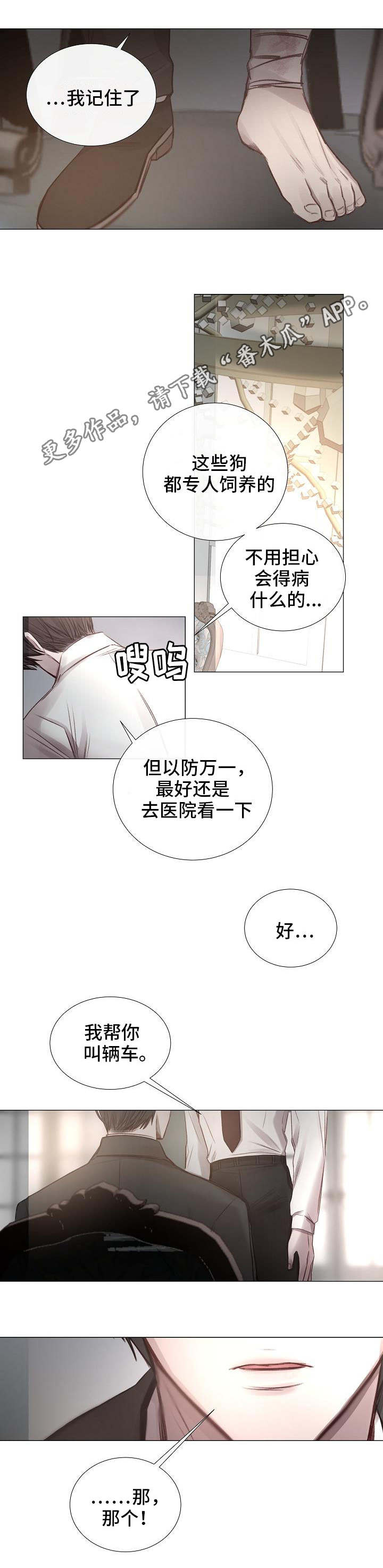 第53章：有惊无险10