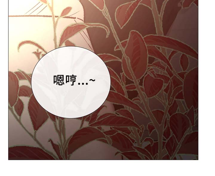 第87章：简直糟糕透了11