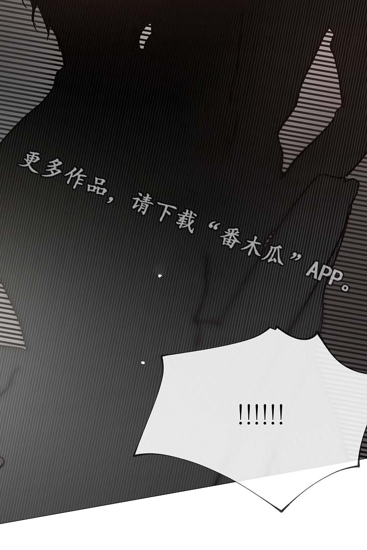 第80章：分享14