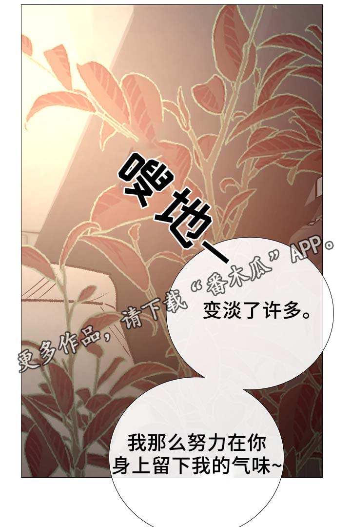 第87章：简直糟糕透了19