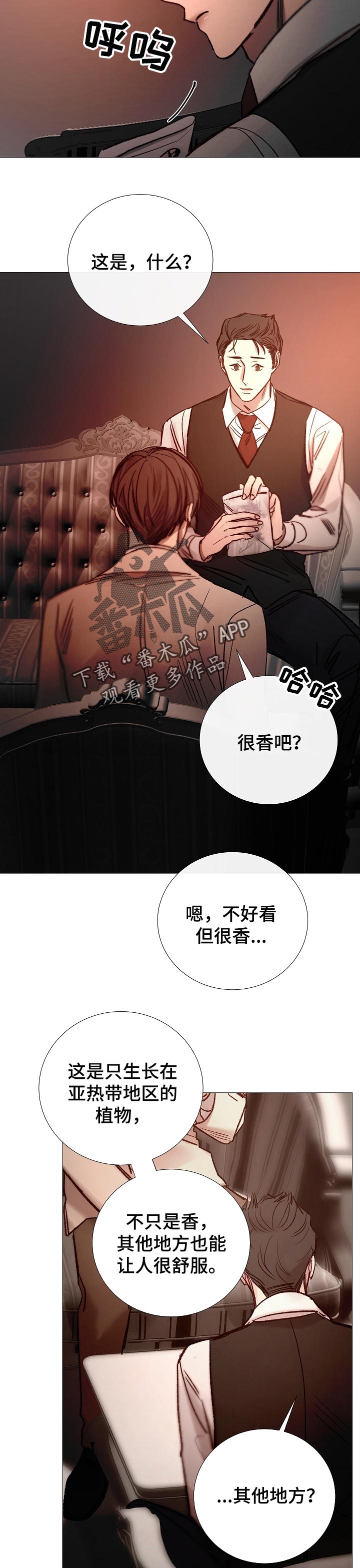 第153章：确定关系1