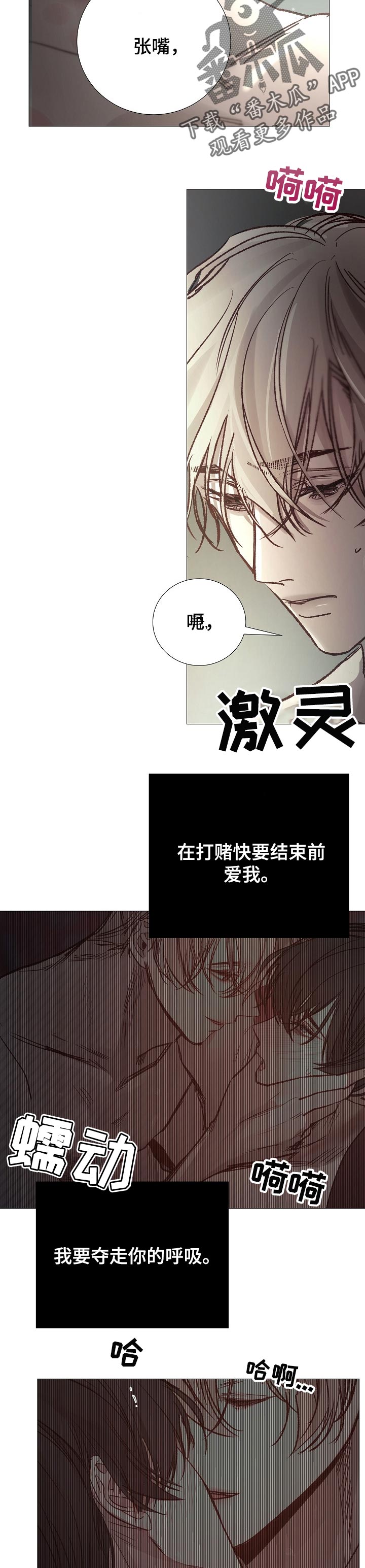 第154章：没看见3