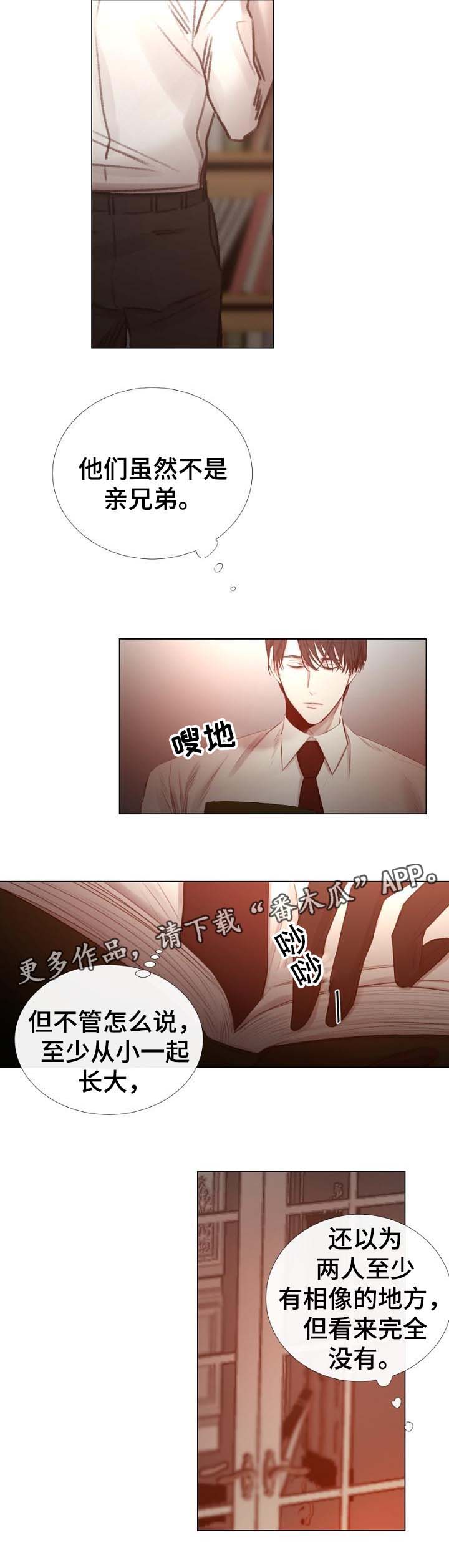第55章：特别的礼物4
