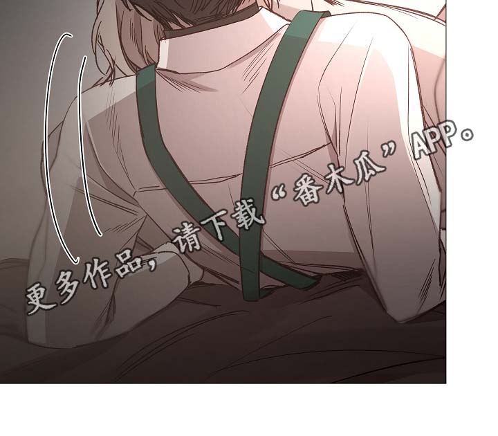 第81章：气氛正好6