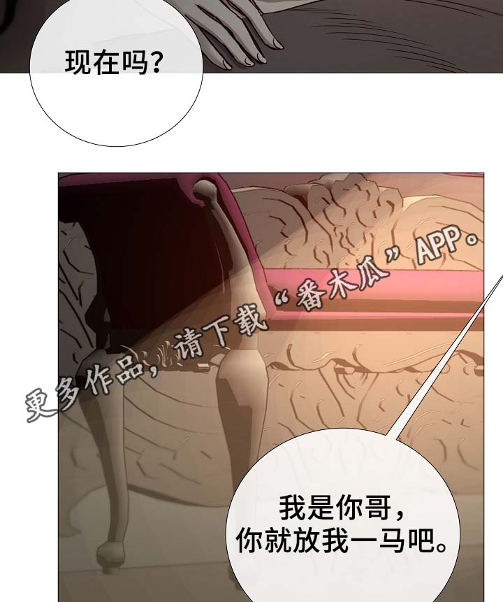 第84章：再摸一次头10