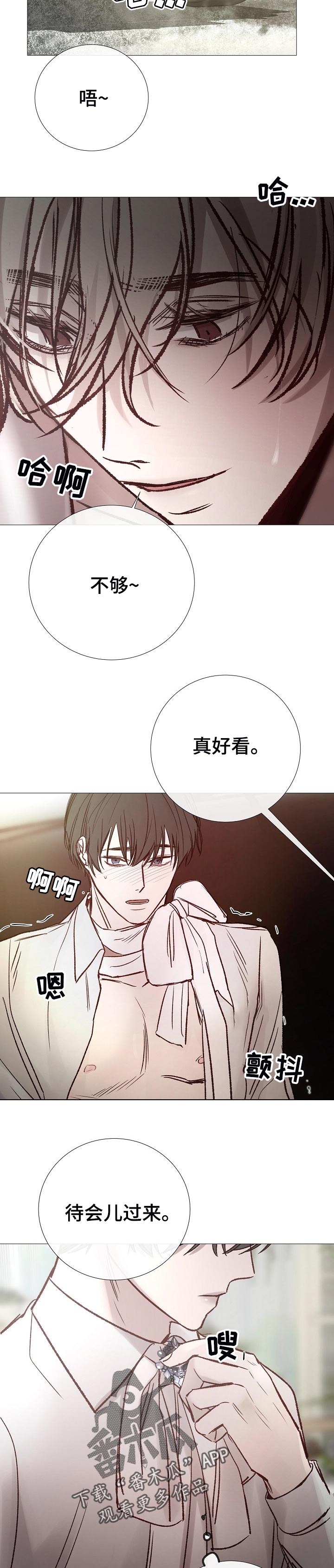 第165章：有话说9