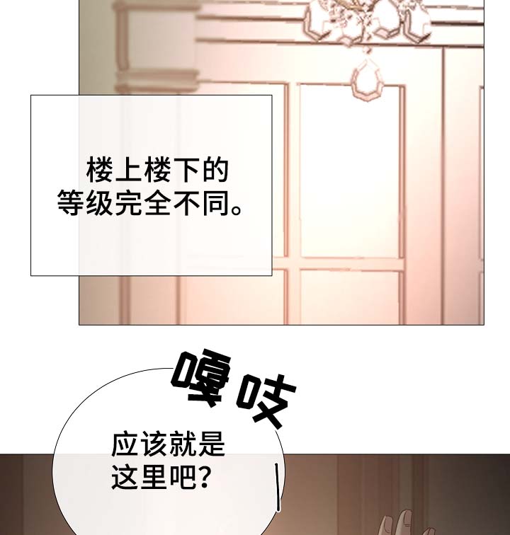 第79章：很忙13