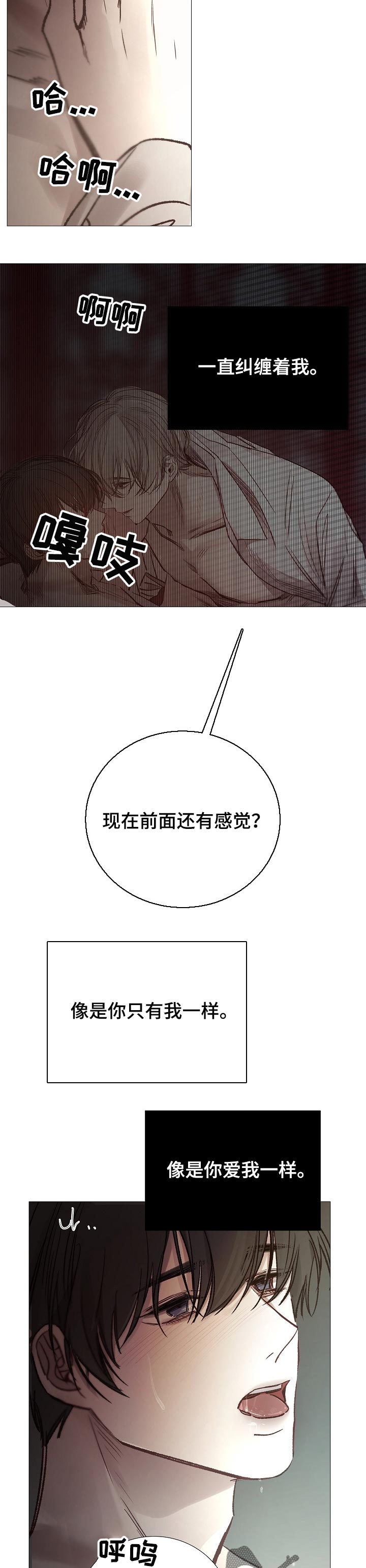 第154章：没看见2