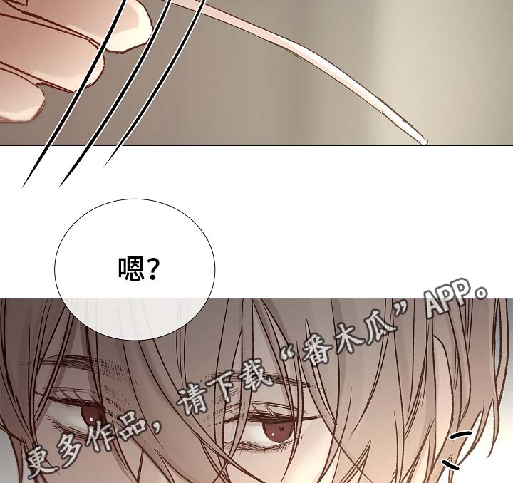 第86章：吃醋13