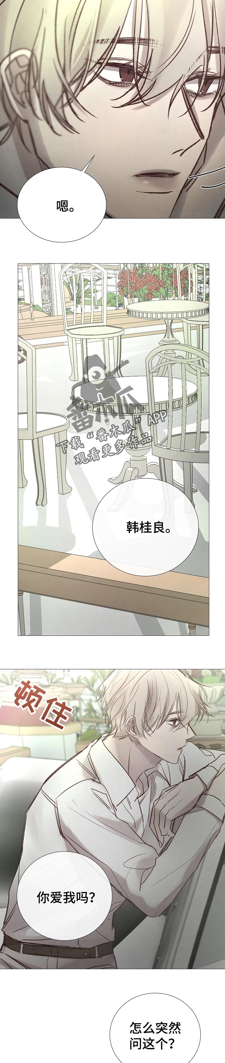 第161章：好像喜欢你8
