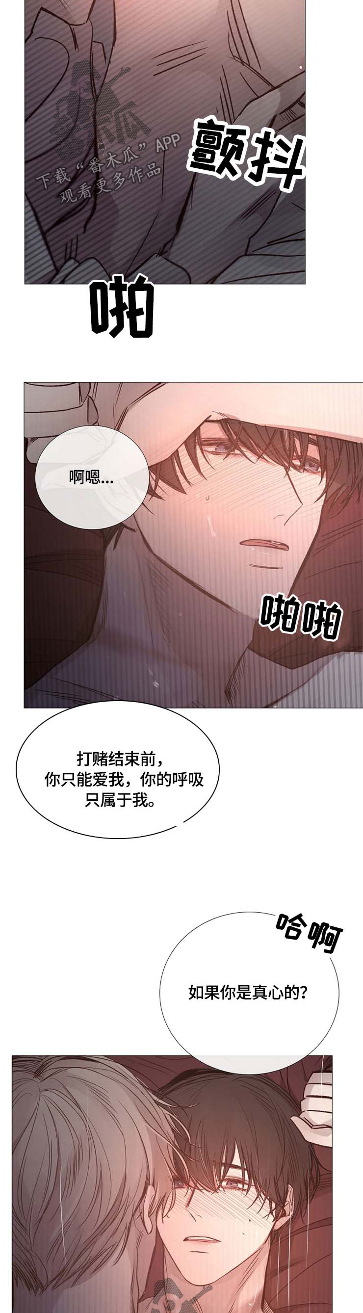 第111章：叫我的名字6