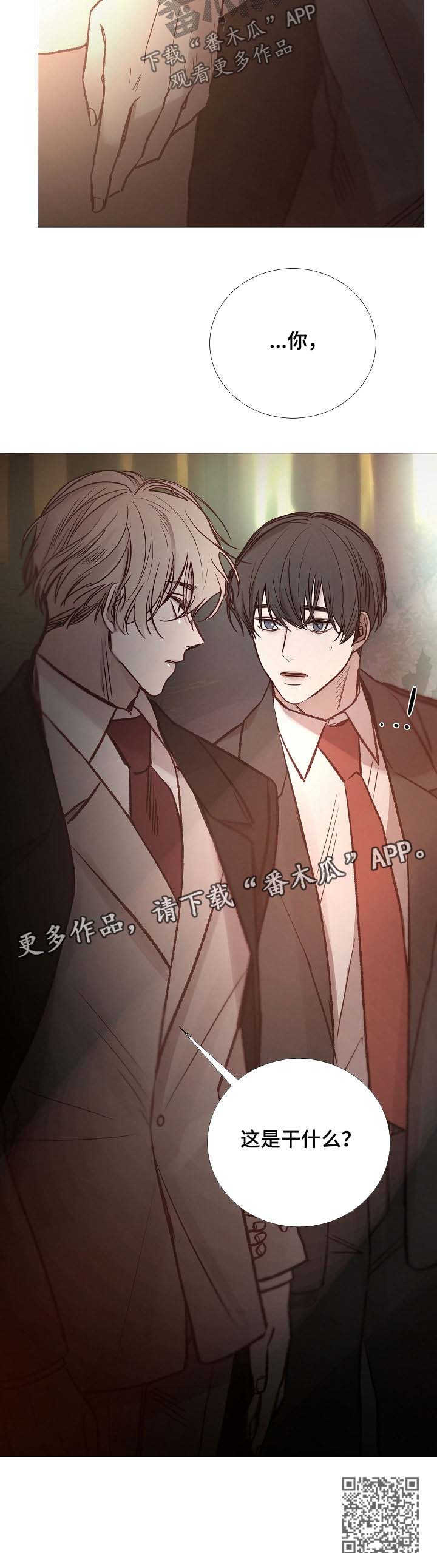 第138章：别投入太多感情8