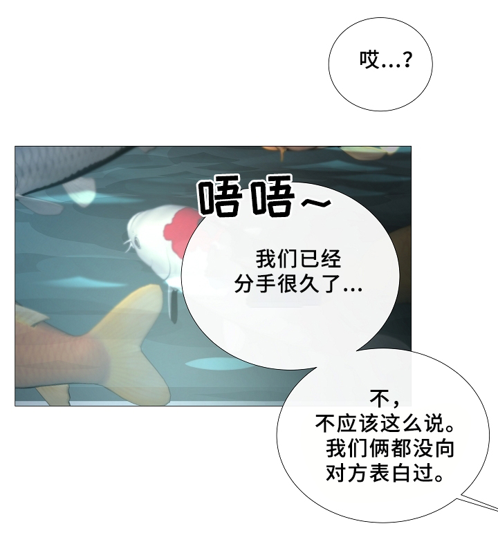 第67章：探访33