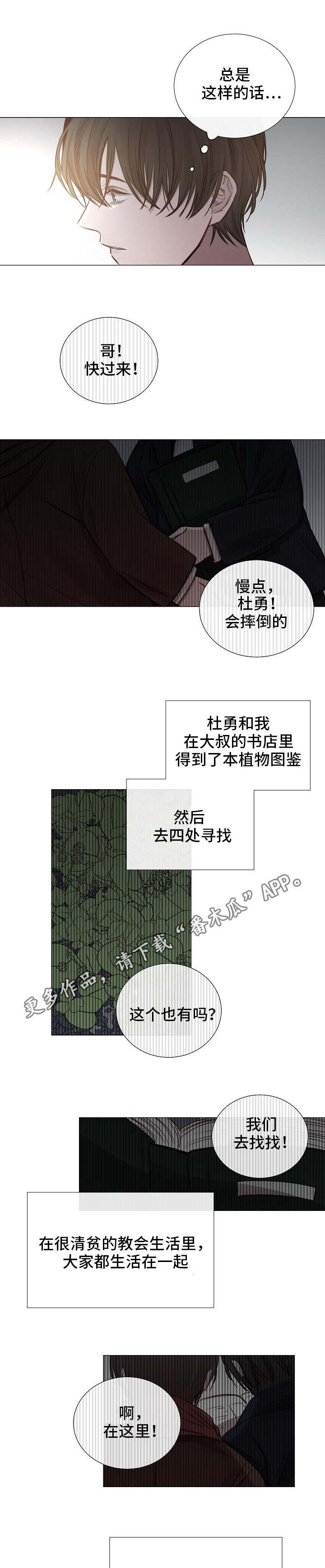 第52章：传闻7