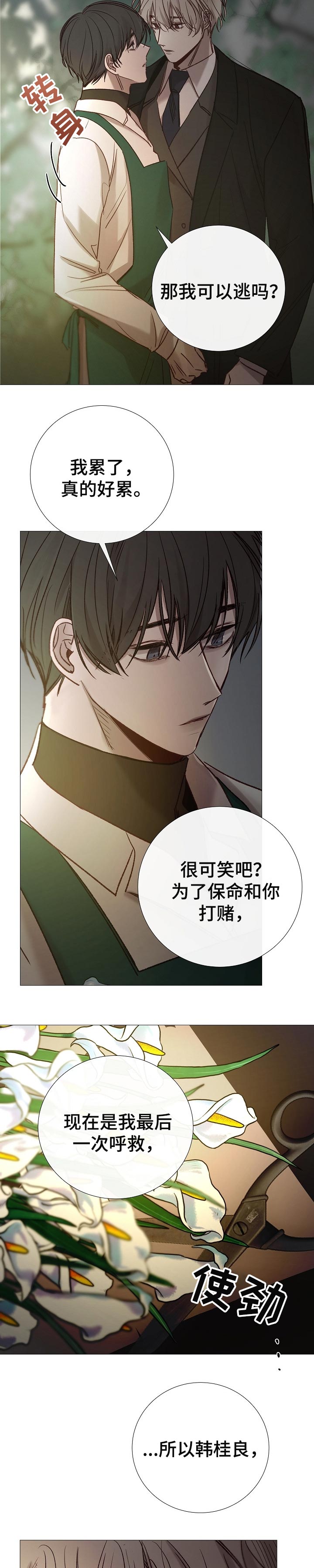 第156章：糟糕透顶5