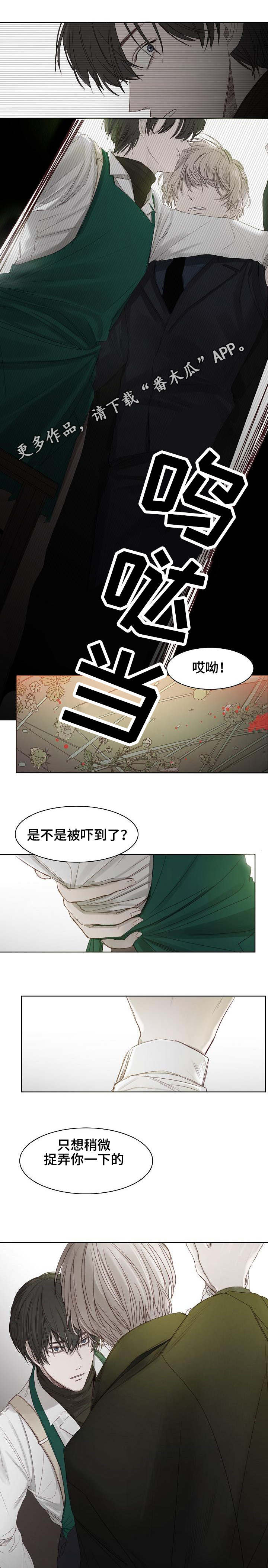 第6章：选花1
