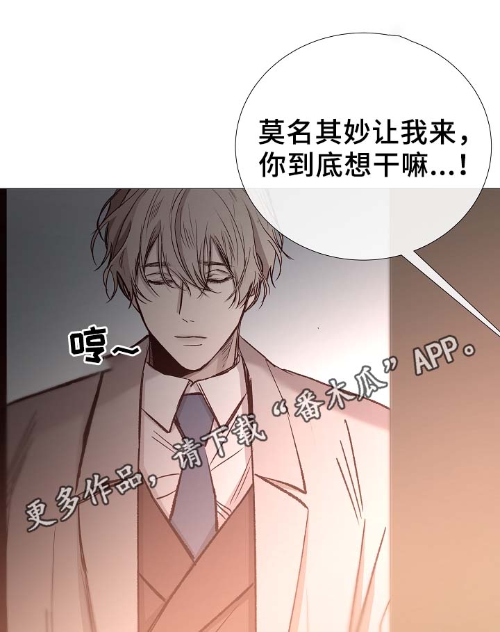 第80章：分享25
