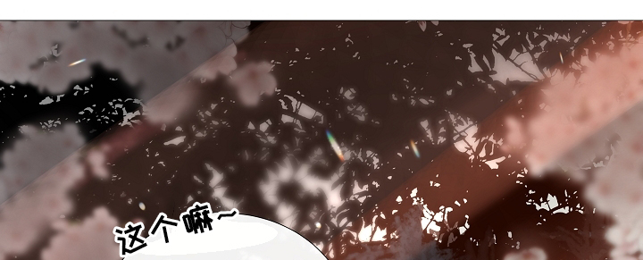 第67章：探访8