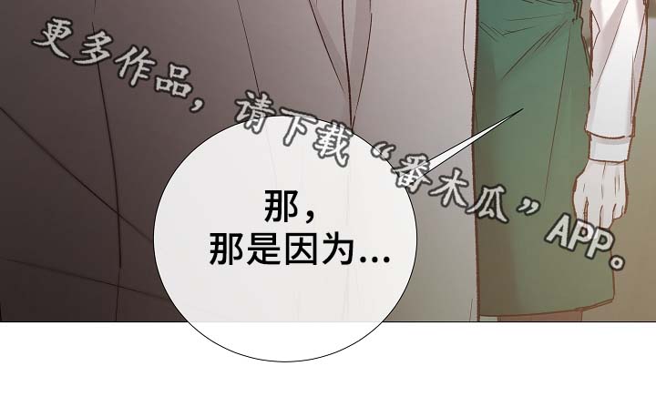 第80章：分享27