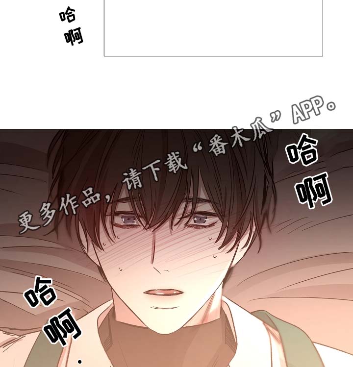 第82章：真的没事吗14