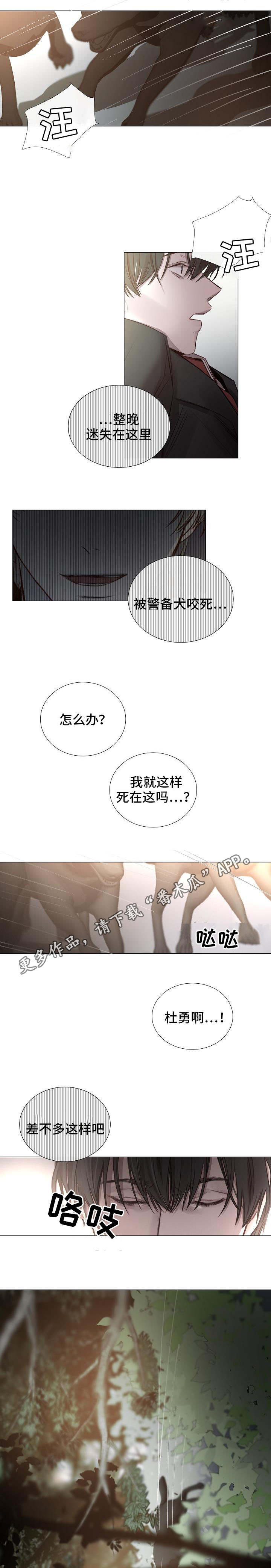 第53章：有惊无险4