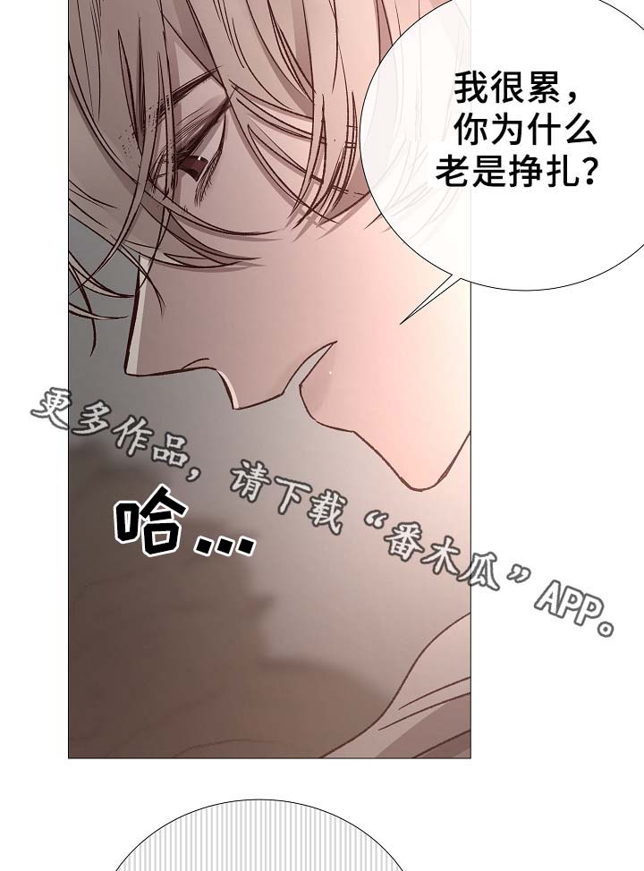 第81章：气氛正好8