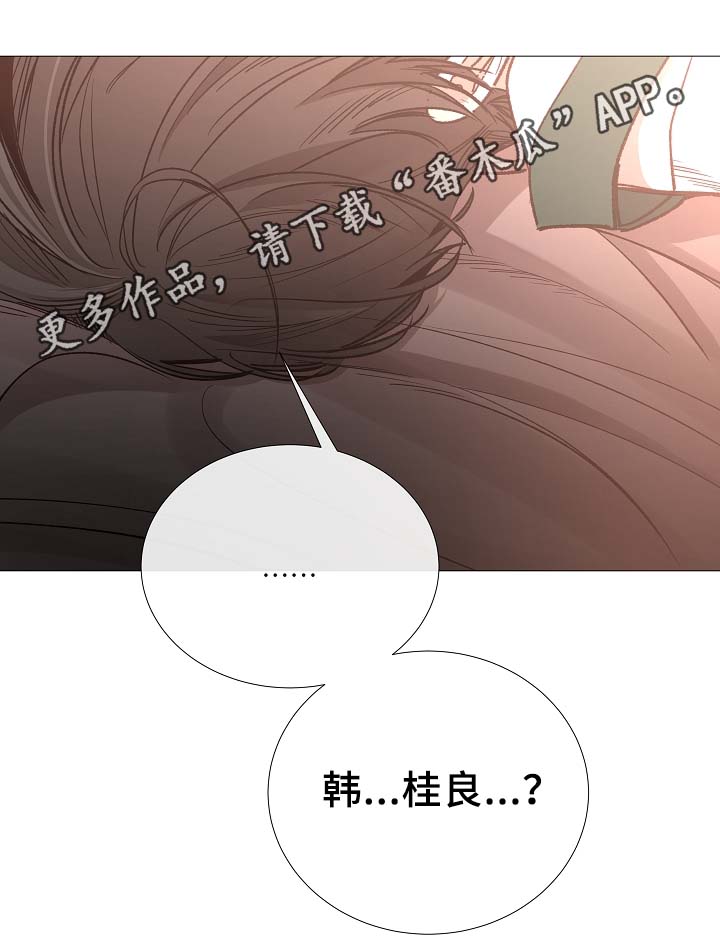 第81章：气氛正好1