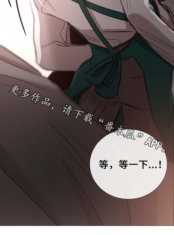 第80章：分享31