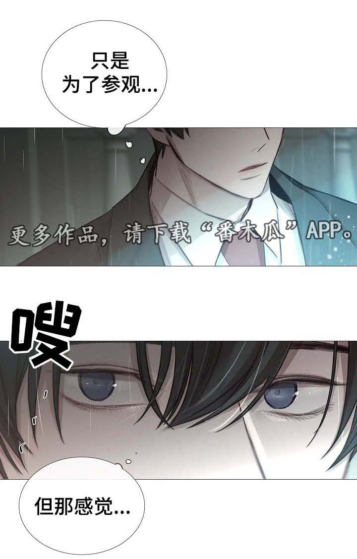 第62章：还没到那种程度0