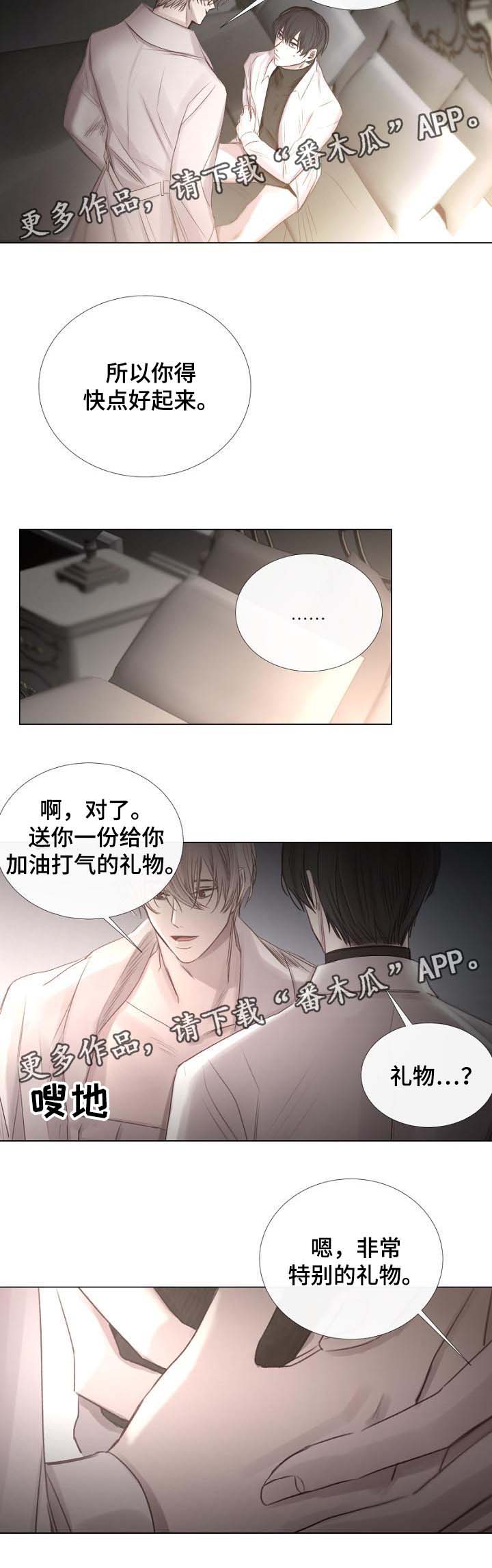 第55章：特别的礼物10